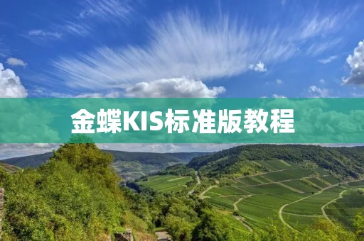 金蝶KIS标准版教程：让您轻松掌握财务管理的利器