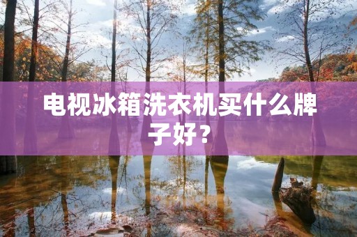 电视冰箱洗衣机买什么牌子好？