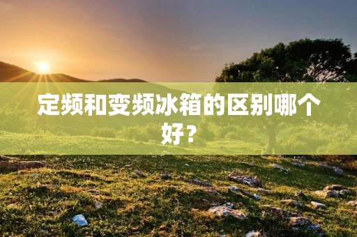 定频和变频冰箱的区别哪个好？