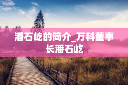 潘石屹的简介_万科董事长潘石屹 潘石屹的简介_万科董事长潘石屹
