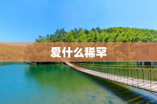 爱什么稀罕