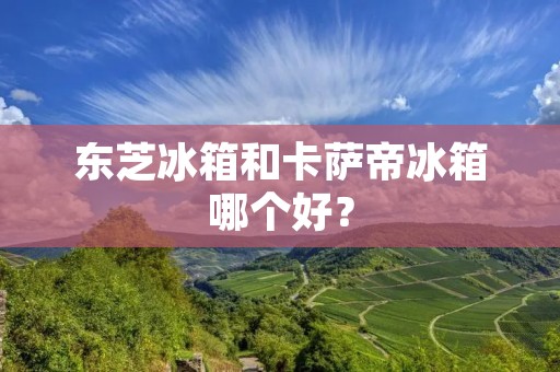 东芝冰箱和卡萨帝冰箱哪个好? 东芝冰箱和卡萨帝冰箱哪个好?