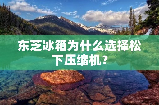 东芝冰箱为什么选择松下压缩机？