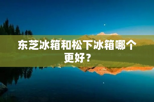 东芝冰箱和松下冰箱哪个更好？