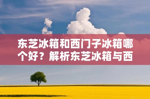 东芝冰箱和西门子冰箱哪个好？解析东芝冰箱与西门子冰箱的优劣