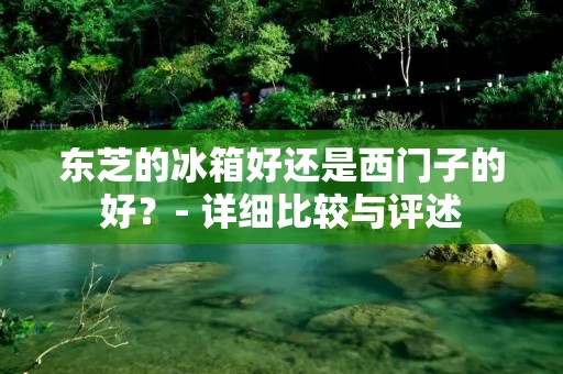 东芝的冰箱好还是西门子的好？- 详细比较与评述