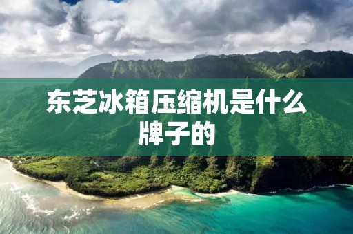东芝冰箱压缩机是什么牌子的