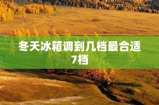 冬天冰箱调到几档最合适7档：如何科学设置冰箱温度