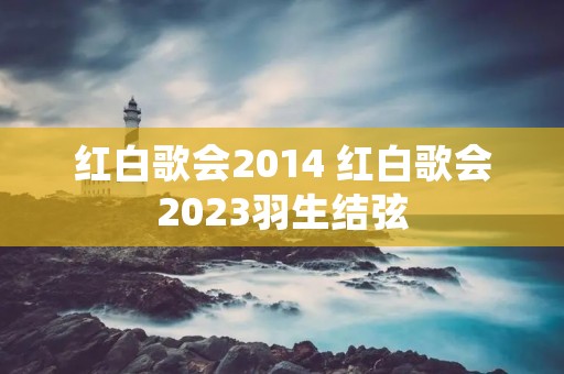 红白歌会2014 红白歌会2023羽生结弦