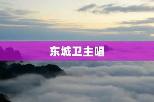 东城卫主唱：一个音乐天才的崛起与传奇