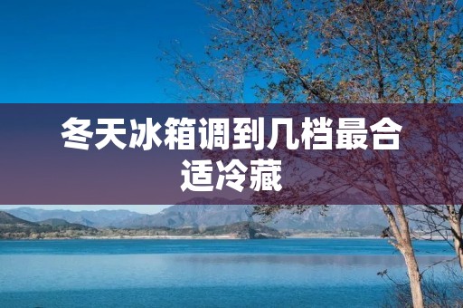 冬天冰箱调到几档最合适冷藏