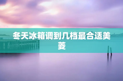 冬天冰箱调到几档最合适美菱：为您的冷藏需求提供最佳解决方案