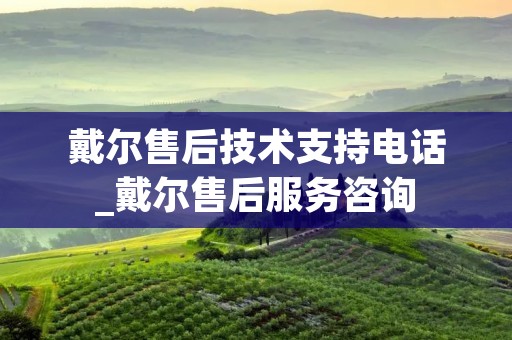 戴尔售后技术支持**_戴尔售后服务咨询