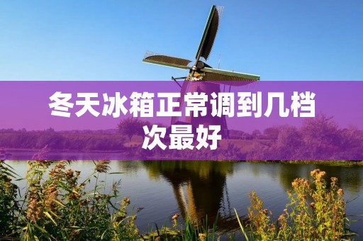 冬天冰箱正常调到几档次最好