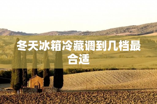 冬天冰箱冷藏调到几档最合适 冬天冰箱冷藏调到几档最合适