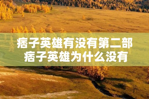 痞子英雄有没有第二部 痞子英雄为什么没有第二部