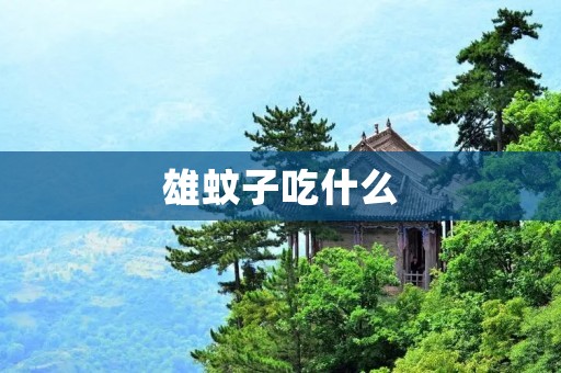 雄蚊子吃什么