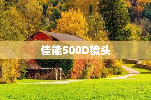 佳能500D镜头:发现摄影新境界 佳能500D镜头:发现摄影新境界