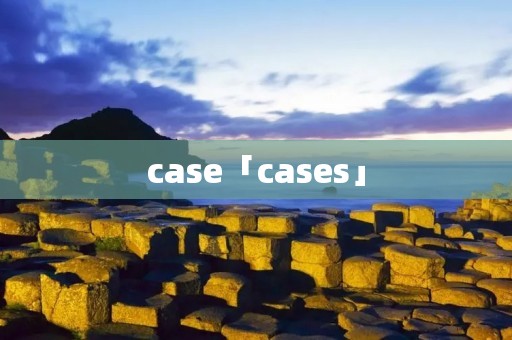 case「cases」