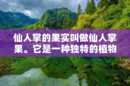 仙人掌的果实叫做仙人掌果。它是一种独特的植物果实，通常生长在仙人掌植物的顶端。仙人掌果形状各异，有些呈圆形，有些呈椭圆形，还有些呈长条形。果实的外表通常覆盖着坚硬的皮肤，可以保护果肉免受外界的伤害。