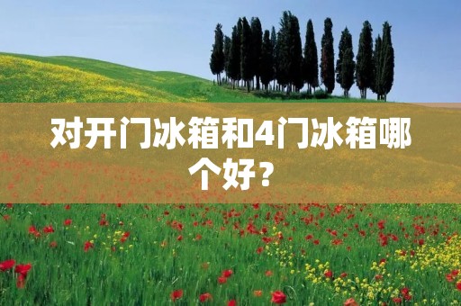 对开门冰箱和4门冰箱哪个好？