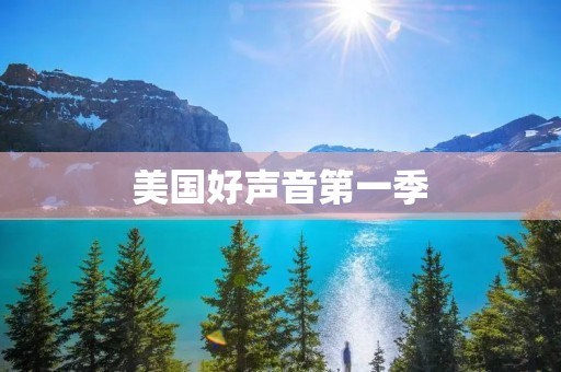 美国好声音第一季：音乐舞台上的辉煌之旅