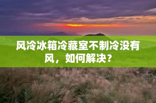 风冷冰箱冷藏室不制冷没有风,如何解决?
