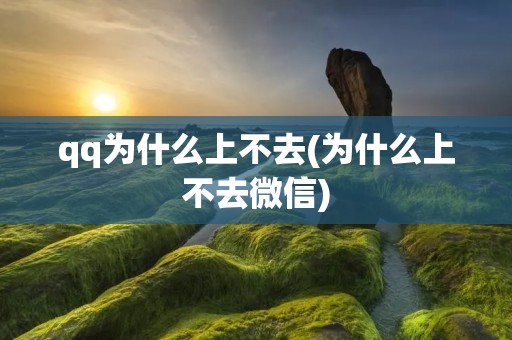 qq为什么上不去(为什么上不去微信)