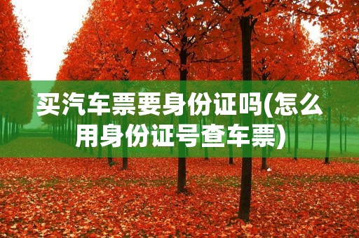 买汽车票要身份证吗(怎么用身份证号查车票) 买汽车票要身份证吗(怎么用身份证号查车票)