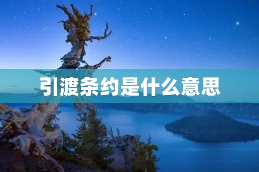 引渡条约是什么意思