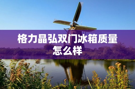 格力晶弘双门冰箱质量怎么样