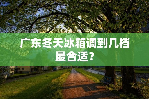 广东冬天冰箱调到几档最合适？