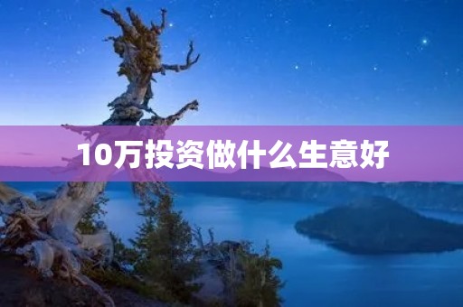 10万投资做什么生意好