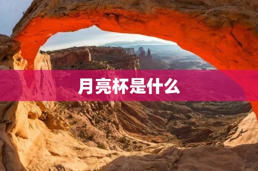月亮杯是什么