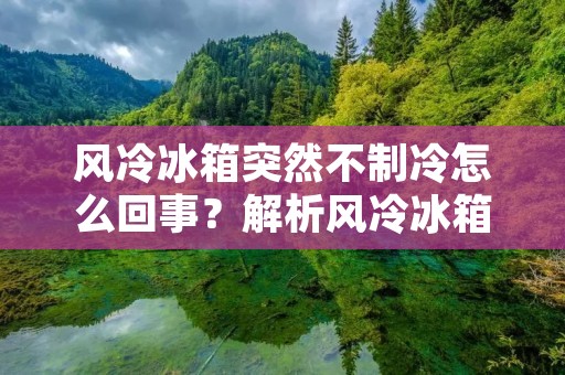风冷冰箱突然不制冷怎么回事？解析风冷冰箱不制冷的原因与解决方法