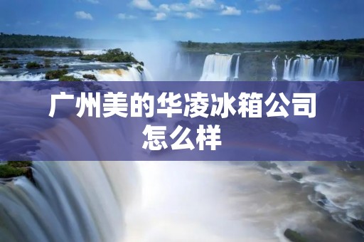 广州美的华凌冰箱公司怎么样:品质与创新并存的行业领导者 广州美的华凌冰箱公司怎么样:品质与创新并存的行业领导者