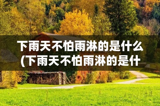 下雨天不怕雨淋的是什么(下雨天不怕雨淋的是什么雨衣或雨伞打一生肖)