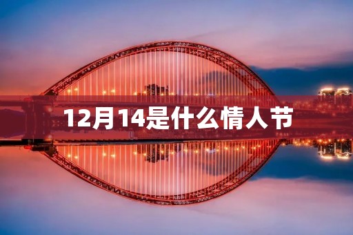 12月14是什么情人节