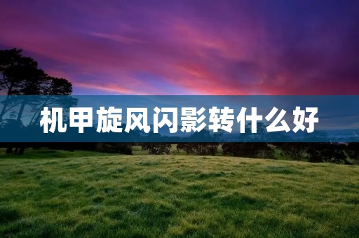 机甲旋风闪影转什么好