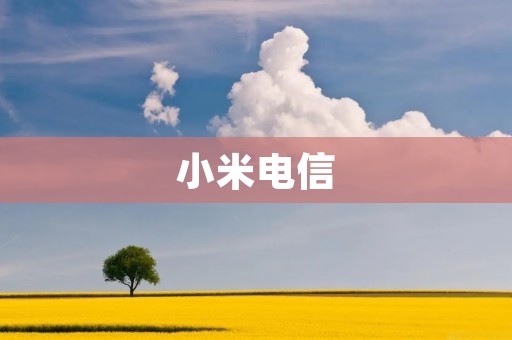 小米电信：智能科技与通信的完美融合