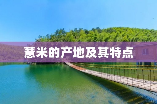 薏米的产地及其特点