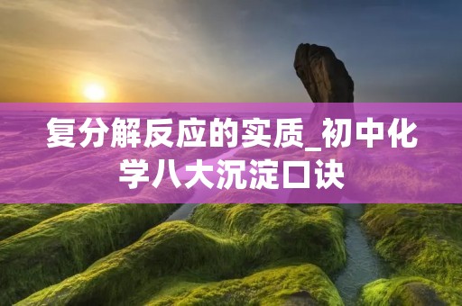复分解反应的实质_初中化学八大沉淀口诀