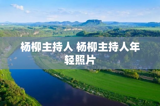 杨柳主持人 杨柳主持人年轻照片