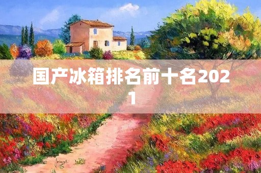 国产冰箱排名前十名2021:品质与创新并重的国产品牌竞争激烈
