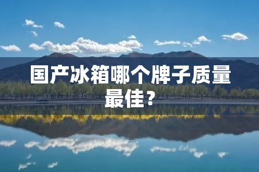 国产冰箱哪个牌子质量最佳？