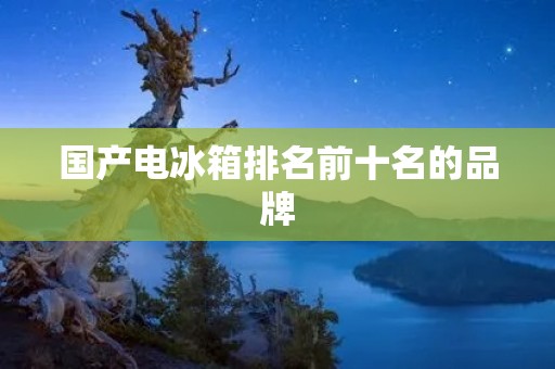 国产电冰箱排名前十名的品牌：质量与性能的双重保证