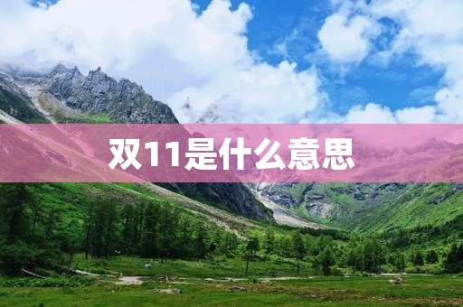 双11是什么意思