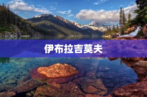 伊布拉吉莫夫:足坛天才的崛起与传奇 伊布拉吉莫夫:足坛天才的崛起与传奇