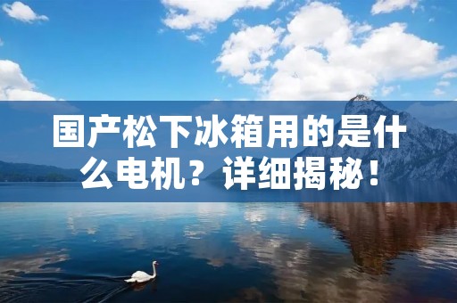 国产松下冰箱用的是什么电机？详细揭秘！