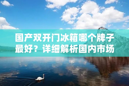 国产**门冰箱哪个牌子最好？详细解析国内市场主流品牌